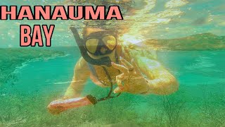 The Snorkeling Experience at Hanauma Bay is Out of This World