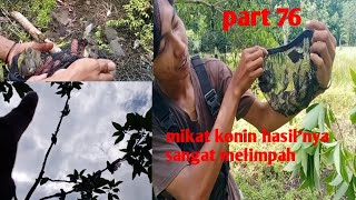 mikat / mulut konin ....poin sangat melimpah