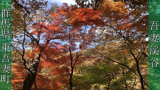 （群馬県）紅葉の吾妻渓谷を散策