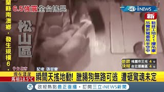 #iNEWS最新 地震啦!  臘腸狗四處逃竄遭掉落木板K中驚魂未定 所幸沒有受傷 |記者 張哲豪|【台灣要聞】20211024| 三立iNEWS