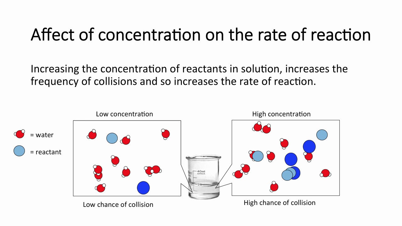 Rate Of Reaction Chemistry Igcse