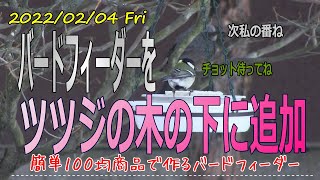 ツツジの木の下にバードフィーダーを追加しました。ダイソーバードフィーダーでお手軽野鳥観察。釧路町で鳥たちの越冬の手助けをしてます。