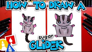 How To Draw A Sugar Glider