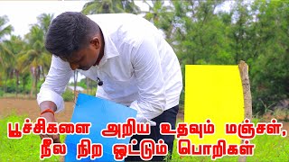 மஞ்சள் ஒட்டும் பொறி \u0026 நீல நிற ஒட்டும் பொறி பயன்கள் - Blue sticky traps Yellow sticky traps uses