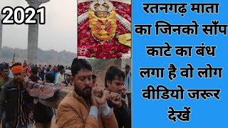 रतनगढ़ माता का जिनको साँप काटे का बंध लगा वो लोग वीडियो जरूर देखें || Ratangarh Mata sanp ka bandh