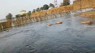 Siddhewadi Lake,,,