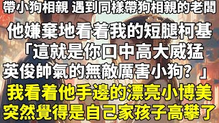 帶小狗相親，遇到同樣帶狗相親的老闆。他嫌棄地看着我的短腿柯基：「這就是你口中高大威猛、英俊帥氣的無敵厲害小狗？」我看着他手邊的漂亮小博美，突然覺得是自己家孩子高攀了。