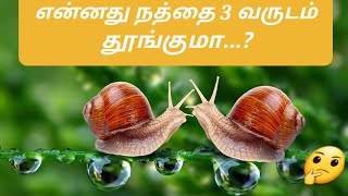 என்னது நமக்கு தெரியாத இவ்வளவு விசயம் இருக்கா 🤔?||unknown facts #1 ||infofacts#shorts