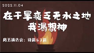 诗篇63篇：“在干旱疲乏无水之地我渴想神”