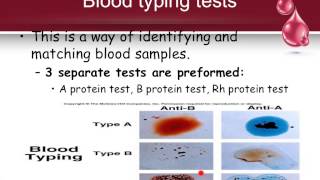 Blood Basics