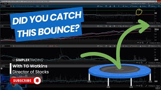 Bounce Or Die | Profit Pilot