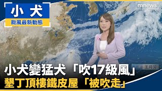 小犬變猛犬「吹17級風」　墾丁頂樓鐵皮屋「被吹走」｜#鏡新聞