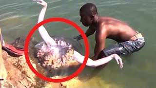 He Finds Real Life Mermaid  A Shocking Discovery That'll Leave You Breathless