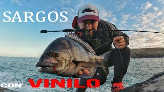 SARGOS con VINILO a DROP SHOT #SARGO #VINILO #DROPSHOT #ROCKFISHING