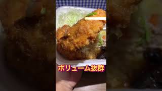 【かつや】１杯で２度美味しい！タレカツとうま煮の合い盛り丼食べてみた