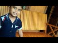 വീട്ടിലെ ചാമ്പക്ക തോട്ടം nachu vlog 😋