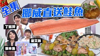 挪威直送鮭魚料理大賞！到底是前輩先吃！還是後輩先吃啊～無論怎麼樣！先贏再說吧！【型男大主廚】20200317｜張本渝、丁鉉羿、梁又琳