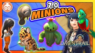 FFXIV | 7.0 MINIONS and where to get them! | DAWNTRAIL