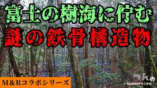 富士の樹海に佇む謎の鉄骨構造物 -富士の樹海に魅せられた男達-【M＆Rコラボレーションシリーズ】