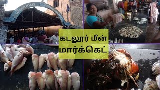 live crabs and fishes best prices || Cuddalore fish market Tamilnadu