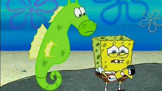 Spongebob Wants To Say Goodbye Seahorse