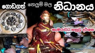 නෙලුම් මල ලකුණ,නිධානය ගොඩටගත්තු විදිහ/nidan wasthu /nidan wadula /nidan dora /ashiya-productionඅෂියා