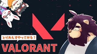 【VALORANT】テスト配信です【射干玉ウヌ】