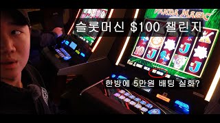 라스베가스 카지노에서 슬롯머신 $100 도전해 보았습니다 미국 라스베가스 vlog