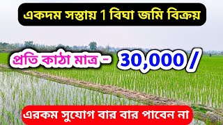 No-32🔴 মাত্র ৬ লাখে ১ বিঘা জমি বিক্রয় #realestate #viralvideo #home #house #vlog #vlogs