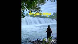 សហគមន៍ធម្មជាតិ មួយដែលបានរៀបចំបង្កេីតនូវជម្រេីសសម្រាប់ជាកន្លែងលម្ហែកំសាន្ត និងធ្វើសកម្មភាពផ្សេងៗ