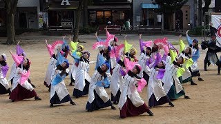 どまつり 2017 （大須商店街☆21）ナディアパーク矢場公園