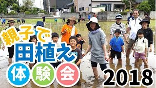 埼玉県久喜市での「親子で田植え体験会」2018