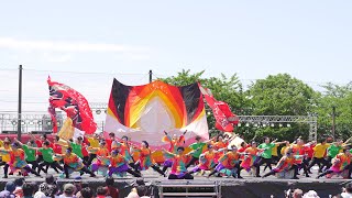 [4K] 愛知淑徳大学「鳴踊」　2023年度演舞『CHEMI!?CHEMI!?』初披露　犬山踊芸祭 2023 土曜日