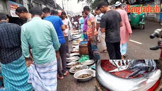 Fish Market Scene, People Activities, Vendors Life Style in Bangladesh @  ঢাকা কোনাখোলা মাছ বাজার I