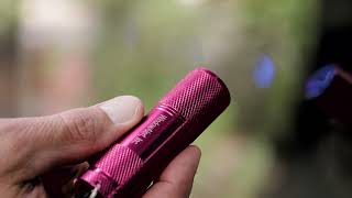 WindowAlert UV Flashlight