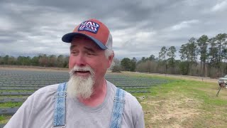 WebXtra: Early warming may be good news for East Texas farmers