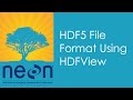 A Quick Look at the HDF5 File Format Using HDFView