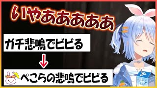 【ホロライブ切り抜き】ホラゲーでびびり散らかすぺこらのガチ悲鳴にびびり散らかす野うさぎｗ【兎田ぺこら/hololive】