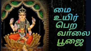 மை உயிர் பெற வாலை பூஜை.manthrigam  book and class.7448664670