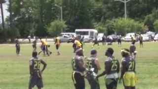 Hostile Takeover vs. Rough Riders Virginia Beach 2013