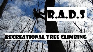 RADS / YOYO Recreational Tree Climbing (Rapid Ascent Descent System)