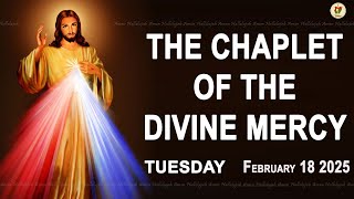 Chaplet of the Divine Mercy I Tuesday February 18 2025 I Divine Mercy Prayer I 12.00 PM