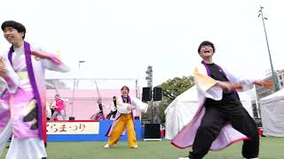 【４K】team IZUMO「IZUMO」★九州がっ祭2024/花畑広場さくらまつり会場/2024.03.23/LumixS5Ⅱ