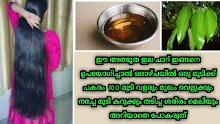 വീട്ടുവളപ്പിലെ അത്ഭുത മരം!മുടി കാട് പോലെ വളരും നരച്ച മുടി കറുക്കും മുഖം വെളുക്കും അറിയാതെ പോകരുത്