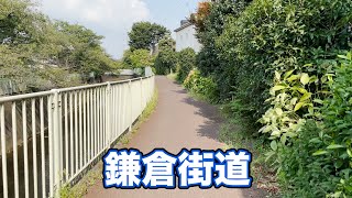 当時の日本を学びながら散策をすることができる歴史に残る道【鎌倉街道】