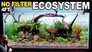 4ft Ecosystem Tank: HUGE No Filter Aquarium With No Maintenance (Aquascape Tutorial)