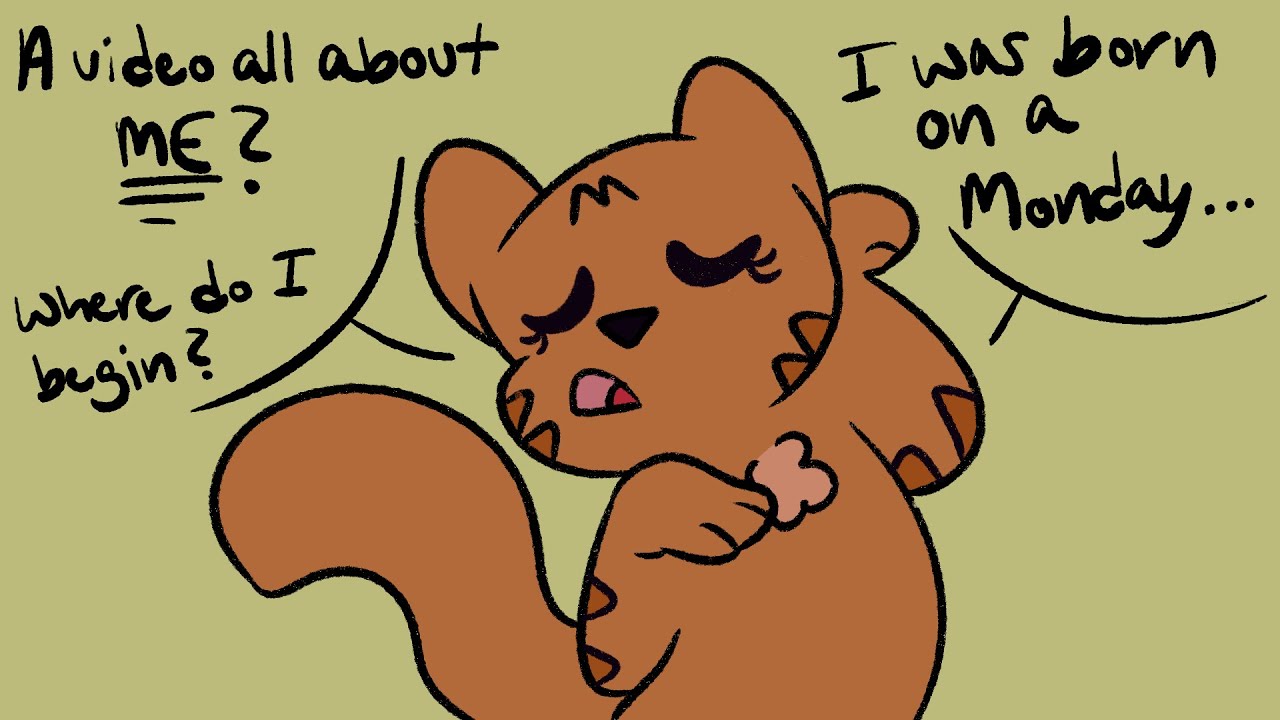 Talking About Sparkpelt Youtube