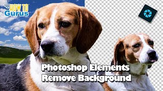 Photoshop Elements Remove Background Project for Beginners COMPLETE