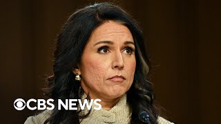 Tulsi Gabbard, Trump's director of national intelligence, resigning post | Special Report