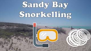 Snorkelling at Sandy Bay in Ningaloo National Park, Exmouth Western Australia